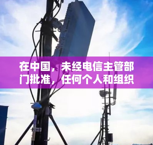 在中国，未经电信主管部门批准，任何个人和组织不得擅自建立、使用非法信道进行国际联网。使用梯子访问被屏蔽的网站可能违反中华人民共和国计算机信息网络国际联网管理暂行规定及相关法律法规