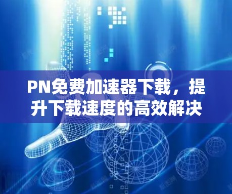 PN免费加速器下载,提升下载速度的高效解决方案 PN免费加速器下载,提升下载速度的高效解决方案