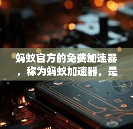 蚂蚁官方的免费加速器，称为蚂蚁加速器，是一款专为智能手机设计的性能优化工具。它通过多种方式提升手机性能，包括清理垃圾文件、优化内存管理、优化JVM性能以及任务管理等。以下是对该加速器的详细分析