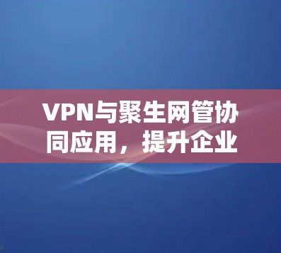 VPN与聚生网管协同应用，提升企业网络安全与性能
