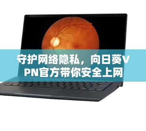 守护网络隐私，向日葵VPN官方带你安全上网