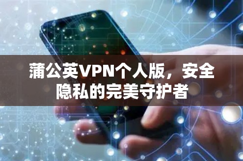 蒲公英VPN个人版，安全隐私的完美守护者