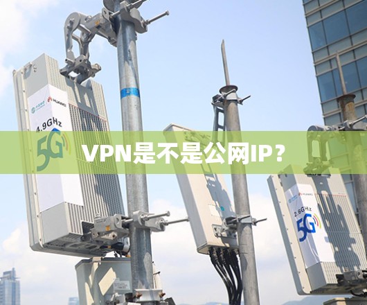 VPN是不是公网IP？