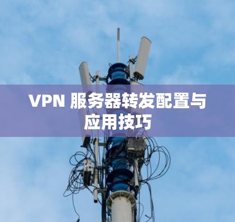 VPN 服务器转发配置与应用技巧 VPN 服务器转发配置与应用技巧