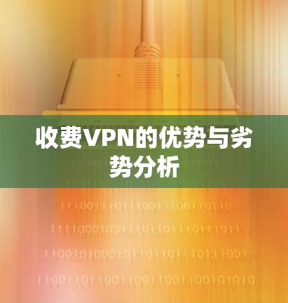 收费VPN的优势与劣势分析