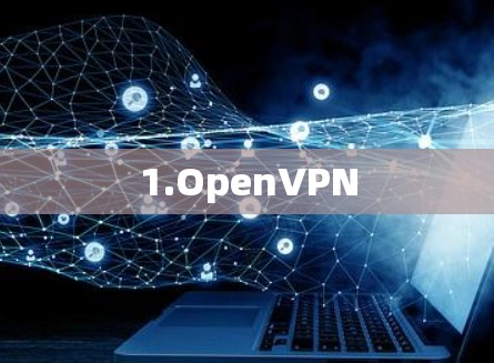 1.OpenVPN 1.OpenVPN