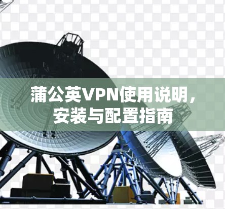 蒲公英VPN使用说明,安装与配置指南 蒲公英VPN使用说明,安装与配置指南