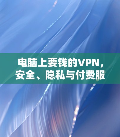 电脑上要钱的VPN，安全、隐私与付费服务的选择