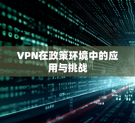 VPN在政策环境中的应用与挑战