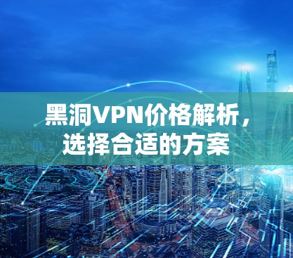 黑洞VPN价格解析，选择合适的方案