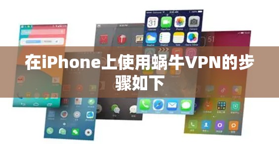 在iPhone上使用蜗牛VPN的步骤如下 在iPhone上使用蜗牛VPN的步骤如下