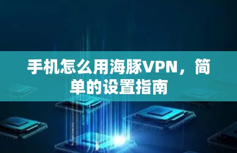 手机怎么用海豚VPN，简单的设置指南