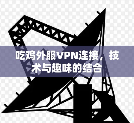 吃鸡外服VPN连接，技术与趣味的结合