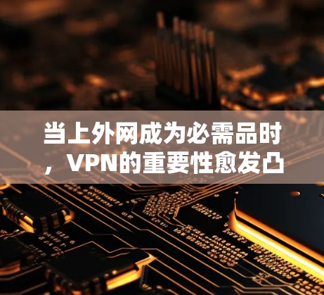 当上外网成为必需品时,VPN的重要性愈发凸显 当上外网成为必需品时,VPN的重要性愈发凸显