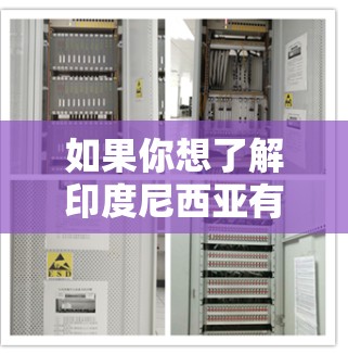 如果你想了解印度尼西亚有关VPN(虚拟专用网络)的信息,可以从以下几个方面入手 如果你想了解印度尼西亚有关VPN(虚拟专用网络)的信息,可以从以下几个方面入手
