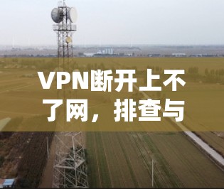 VPN断开上不了网,排查与解决方案 VPN断开上不了网,排查与解决方案