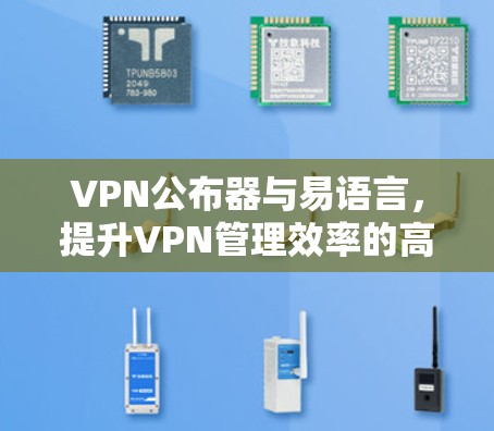 VPN公布器与易语言,提升VPN管理效率的高效解决方案 VPN公布器与易语言,提升VPN管理效率的高效解决方案