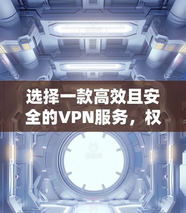 选择一款高效且安全的VPN服务,权威评测与推荐 选择一款高效且安全的VPN服务,权威评测与推荐