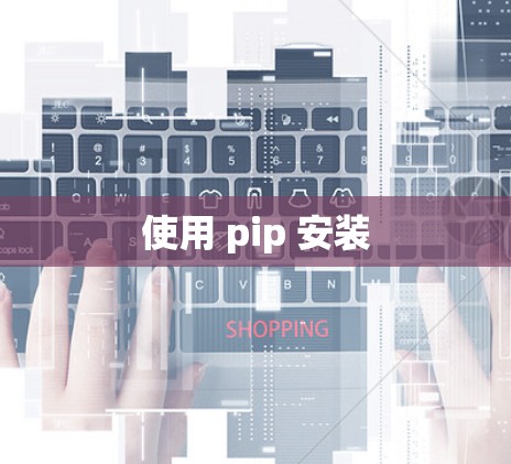 使用 pip 安装 使用 pip 安装