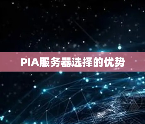 PIA服务器选择的优势