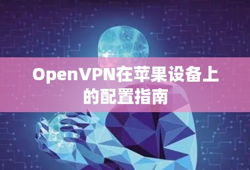 OpenVPN在苹果设备上的配置指南 OpenVPN在苹果设备上的配置指南
