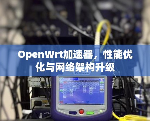 OpenWrt加速器,性能优化与网络架构升级 OpenWrt加速器,性能优化与网络架构升级