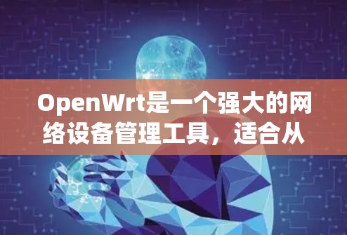 OpenWrt是一个强大的网络设备管理工具,适合从零开始配置和管理网络设备。以下是对OpenWrt的详细介绍和操作指南,帮助你顺利使用 OpenWrt是一个强大的网络设备管理工具,适合从零开始配置和管理网络设备。以下是对OpenWrt的详细介绍和操作指南,帮助你顺利使用