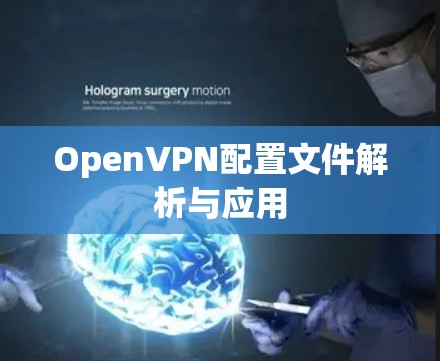 OpenVPN配置文件解析与应用 OpenVPN配置文件解析与应用