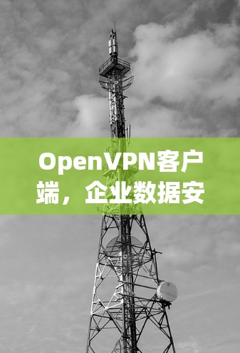 OpenVPN客户端，企业数据安全的无缝解决方案