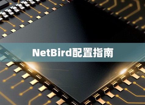 NetBird配置指南 NetBird配置指南