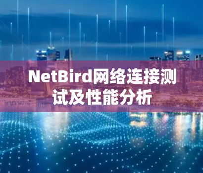 NetBird网络连接测试及性能分析 NetBird网络连接测试及性能分析
