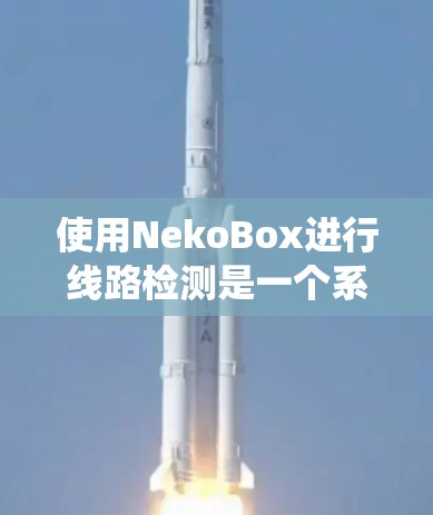 使用NekoBox进行线路检测是一个系统化的过程,以下是分步说明 使用NekoBox进行线路检测是一个系统化的过程,以下是分步说明