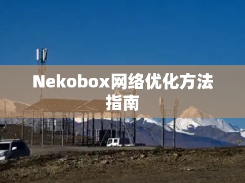 Nekobox网络优化方法指南 Nekobox网络优化方法指南