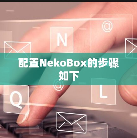 配置NekoBox的步骤如下