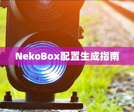 NekoBox配置生成指南 NekoBox配置生成指南