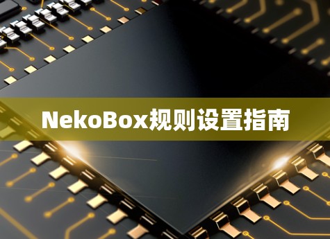 NekoBox规则设置指南