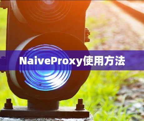 NaiveProxy使用方法 NaiveProxy使用方法