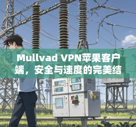 Mullvad VPN苹果客户端,安全与速度的完美结合 Mullvad VPN苹果客户端,安全与速度的完美结合