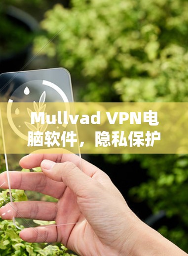 Mullvad VPN电脑软件,隐私保护与安全的卓越选择 Mullvad VPN电脑软件,隐私保护与安全的卓越选择
