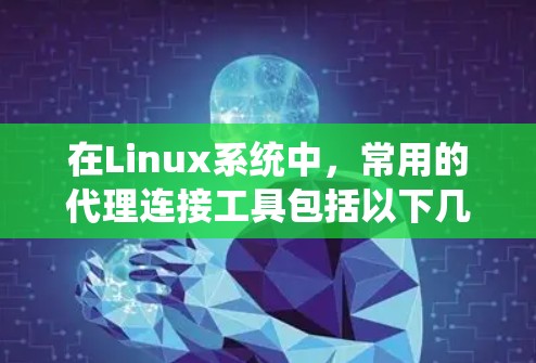 在Linux系统中,常用的代理连接工具包括以下几种 在Linux系统中,常用的代理连接工具包括以下几种