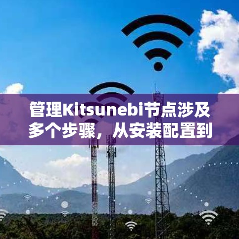 管理Kitsunebi节点涉及多个步骤,从安装配置到日常管理,每个环节都需细致处理。以下是详细的分步指南 管理Kitsunebi节点涉及多个步骤,从安装配置到日常管理,每个环节都需细致处理。以下是详细的分步指南