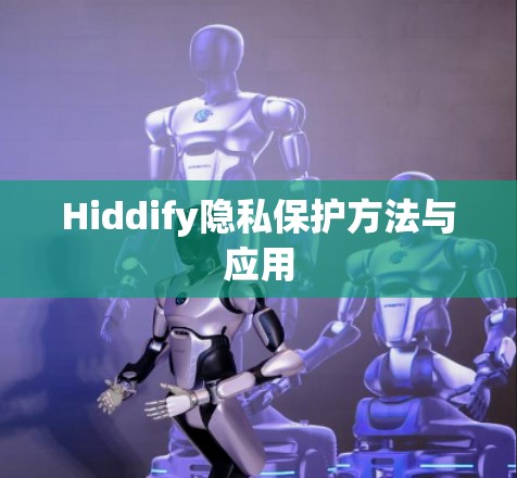 Hiddify隐私保护方法与应用