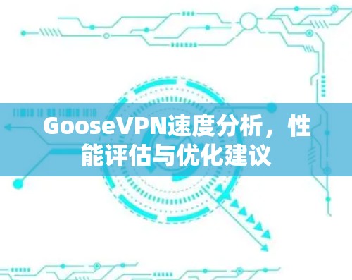 GooseVPN速度分析,性能评估与优化建议 GooseVPN速度分析,性能评估与优化建议