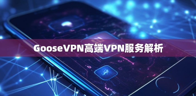 GooseVPN高端VPN服务解析 GooseVPN高端VPN服务解析