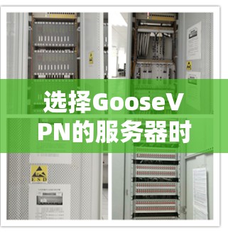 选择GooseVPN的服务器时，您可以根据您的需求和使用场景来决定。以下是一些可能影响您的选择的因素和建议