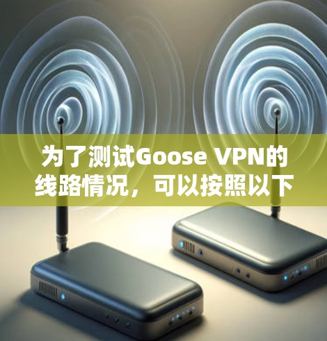 为了测试Goose VPN的线路情况，可以按照以下步骤进行