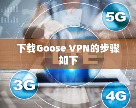 下载Goose VPN的步骤如下 下载Goose VPN的步骤如下