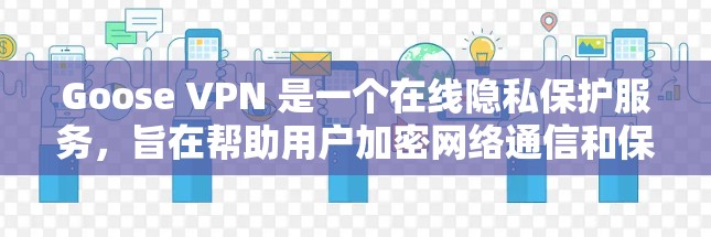 Goose VPN 是一个在线隐私保护服务，旨在帮助用户加密网络通信和保护隐私。以下是一些用户可能对 Goose VPN 的体验分享，基于不同使用场景和需求