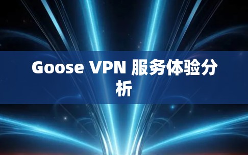 Goose VPN 服务体验分析