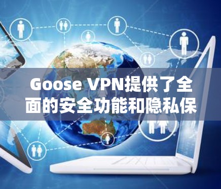 Goose VPN提供了全面的安全功能和隐私保护，以下是其详细分析